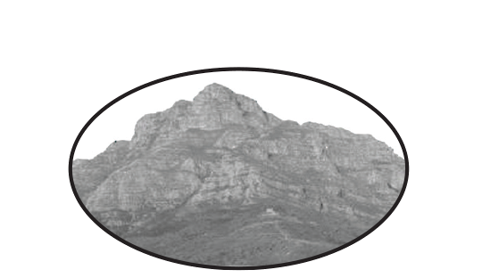 Gardening Services Southern Suburbs Cape Town